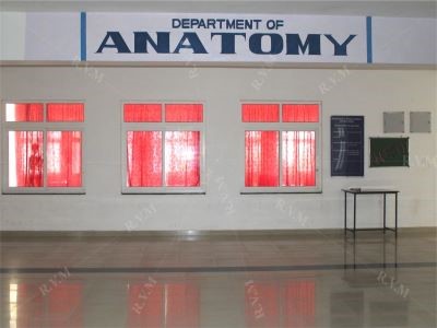 Anatomy