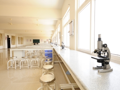 Department of Forensic Medicine