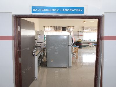 Department of Microbiology