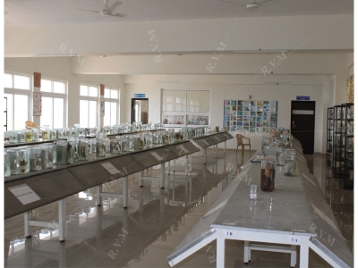 Department of Pathology